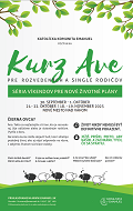 KurzAve banner