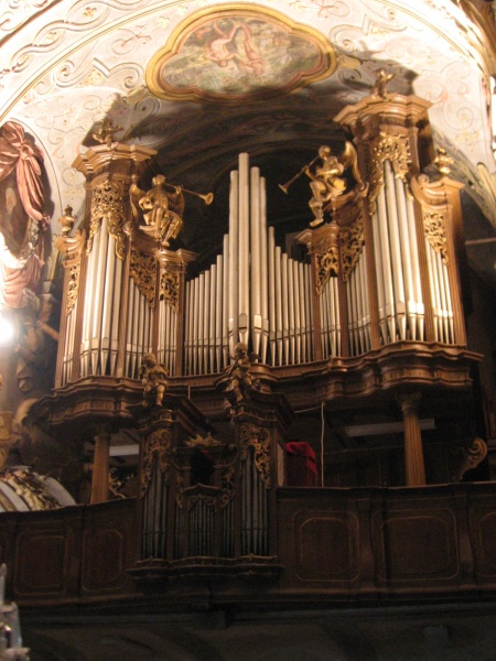 03 organ